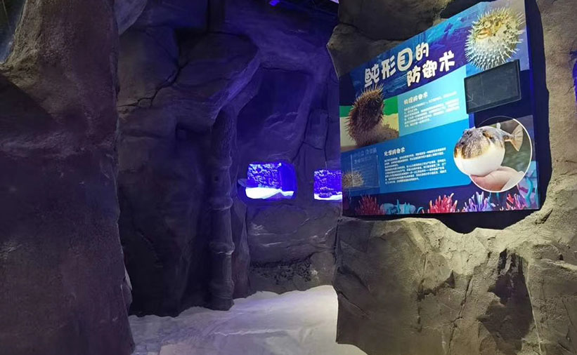 2019_12_26_12_31_IMG_6364 - ����.JPG